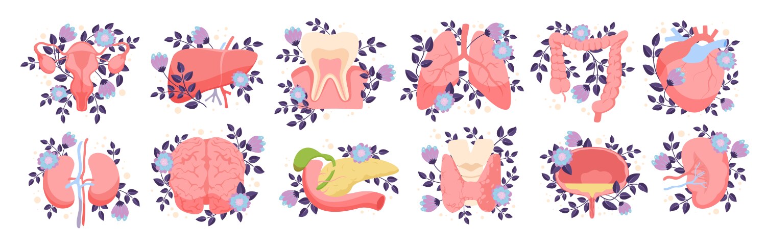 Human anatomy with blooming flowers set structure Vector Image