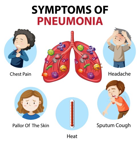 symptoms pneumonia cartoon style infographic vector image