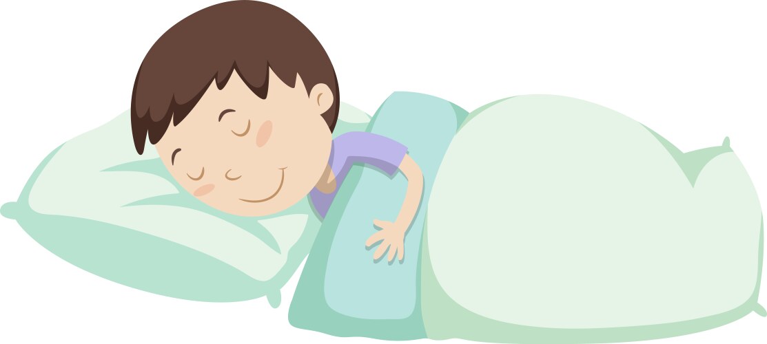 Little boy sleeping under blanket Vector Image