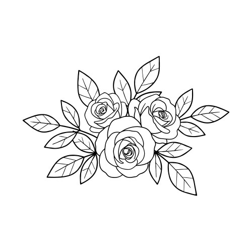 Rose flowers buds leaves and branches in line Vector Image