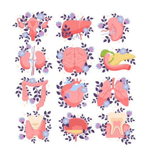 Human anatomy with blooming flowers set structure Vector Image