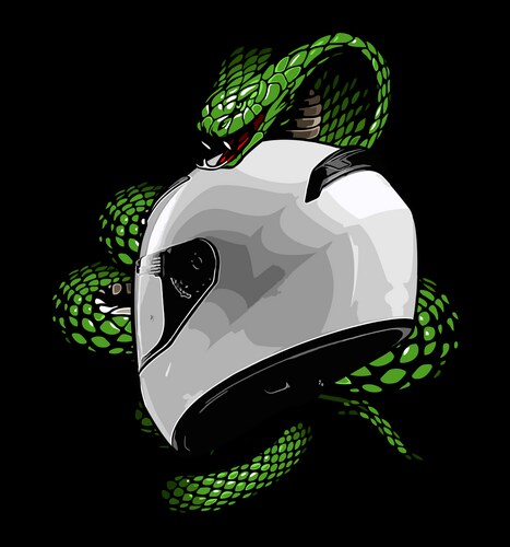 White helmet back view wrapped in snake Vector Image