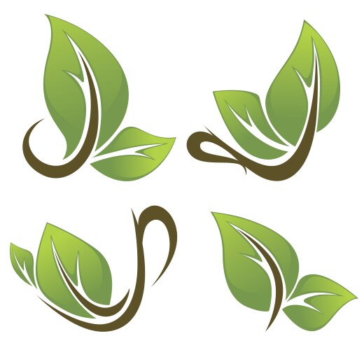 Green leaf Royalty Free Vector Image - VectorStock