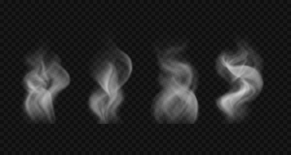 Set of white realistic smoke waves and clouds Vector Image