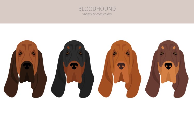 Bloodhound Clipart - Diverse Coat Colors Vector Image