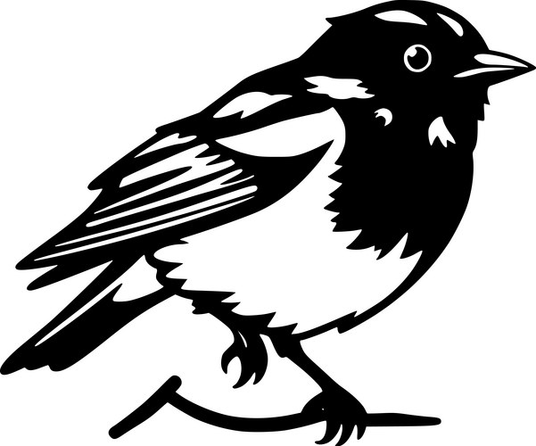 Robin Vector Images & Graphics for Commercial Use | VectorStock