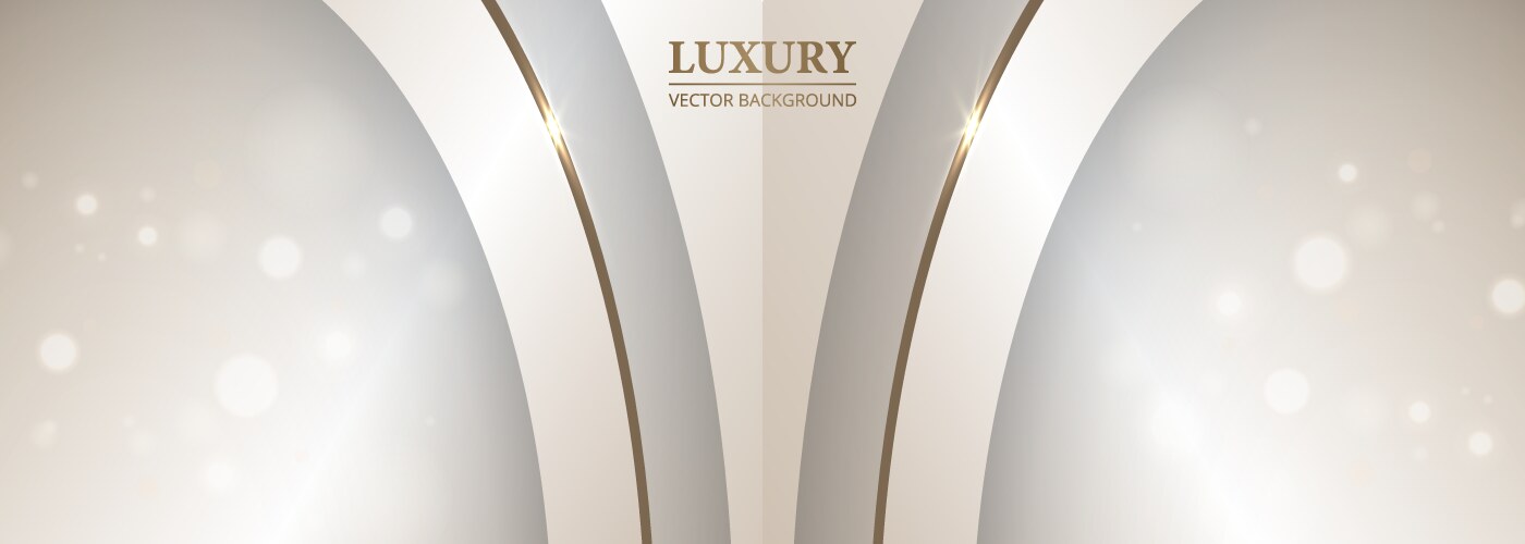 Luxury abstract 3d background with bokeh effect vector image