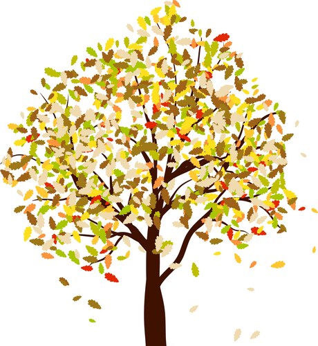 Maple tree Royalty Free Vector Image - VectorStock