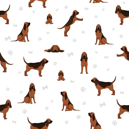 Bloodhound Seamless Pattern Vector Image
