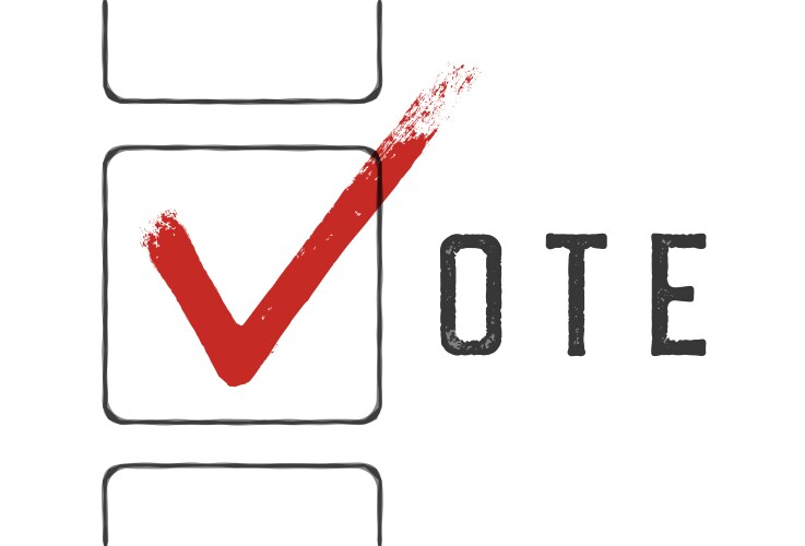 Grunge red checkmarks in checkbox vote concept vector image