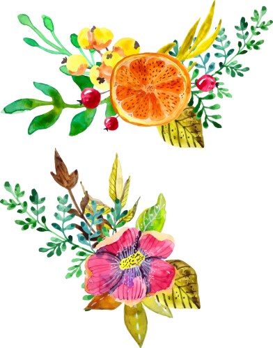 Watercolor Floral Collection Vector Image