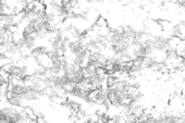 Black dots halftone texture on white background Vector Image