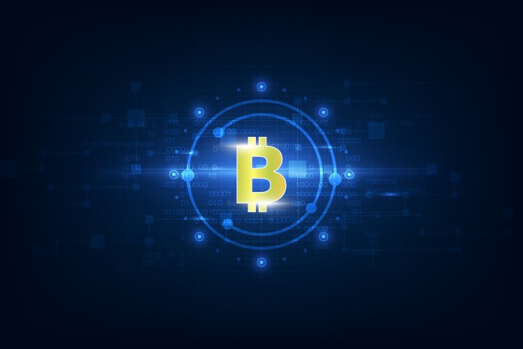 Virtual symbol of the coin bitcoin on binary code vector image