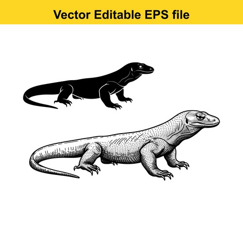 Komodo Dragon Silhouette & Sketch Vector Image