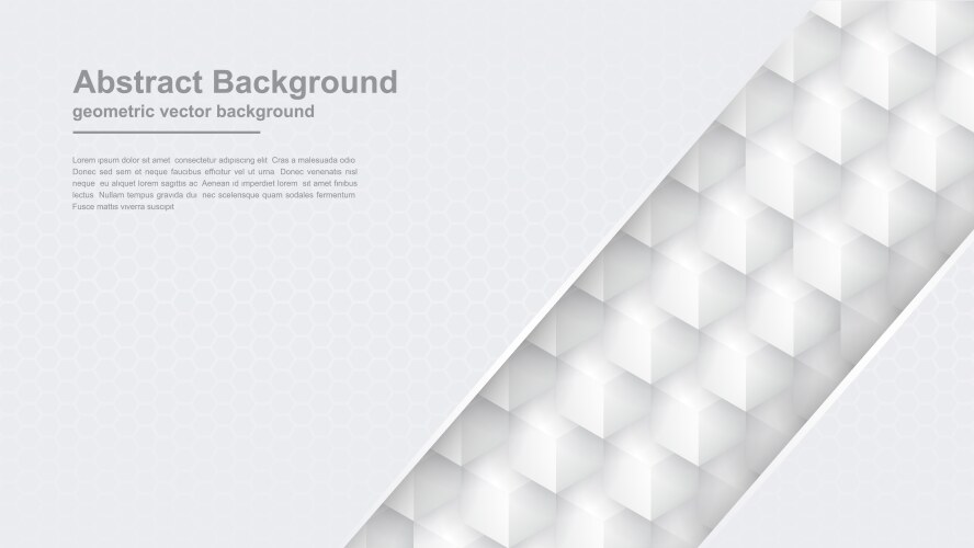 Abstract gray background with hexagon shape vector image