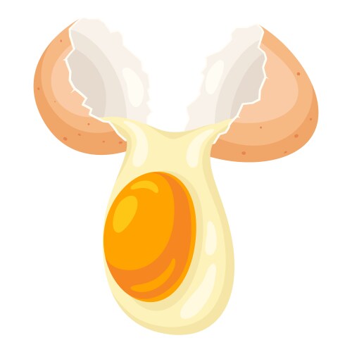 Set with raw fried and boiled chicken eggs Vector Image