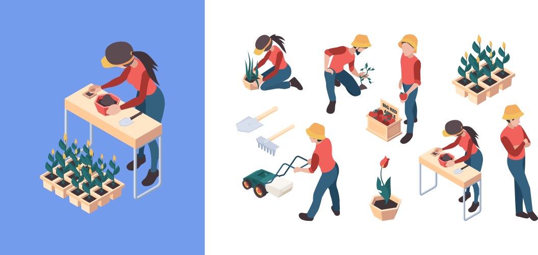 Agriculture isometric farmers and gardeners vector image