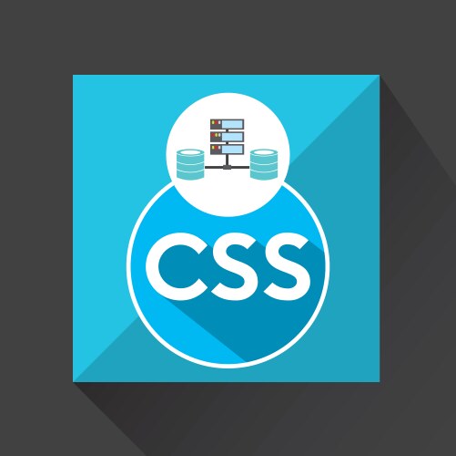 Css language data base storage vector image