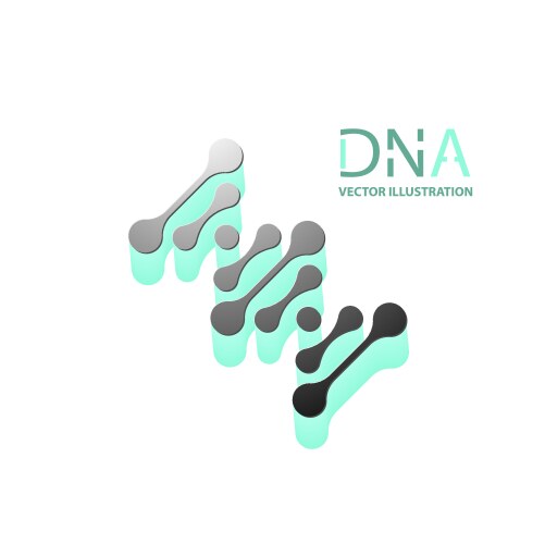 abstract dna strand symbol isolated on white vector image vector image