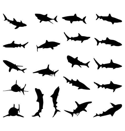 Shark Silhouettes Vector Image