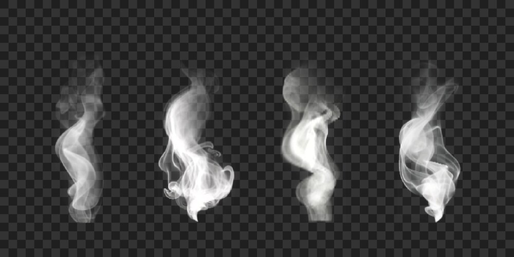 Realistic wavy smoke effect Vector Image