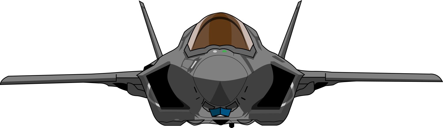 F 35b lightning ii front view vector image