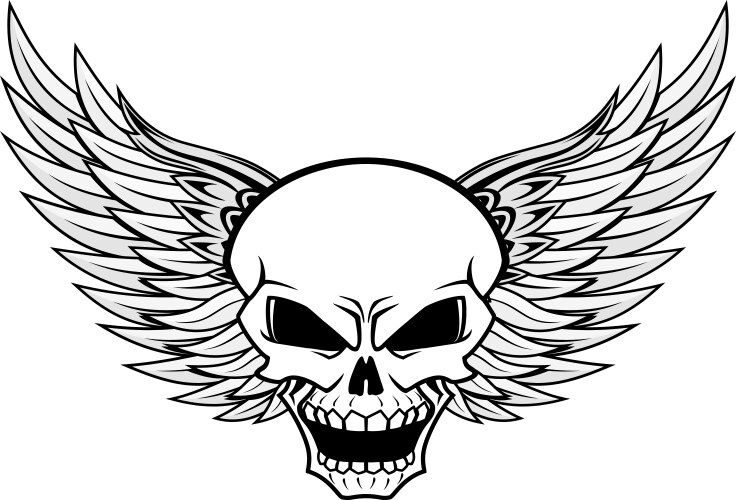 Angel Skull with Death Wings Vector Image