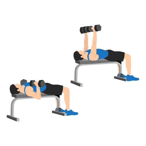 Woman doing decline barbell bench press exercise Vector Image
