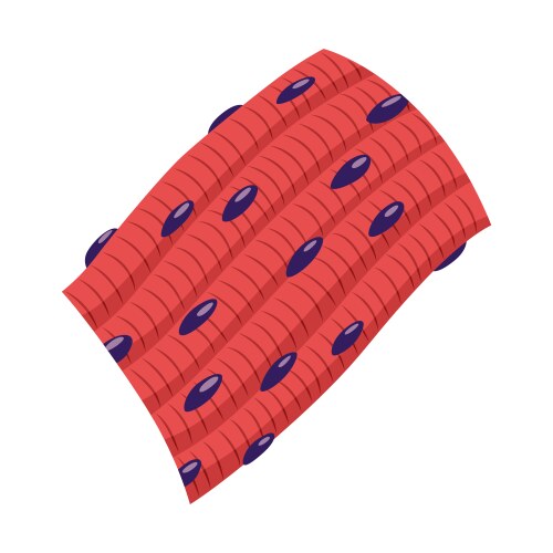 Muscle Tissue Vector Images (over 3,500)
