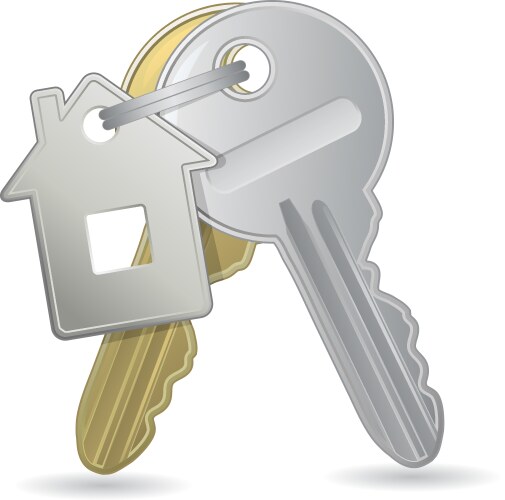 an of a bunch keys with tag vector image