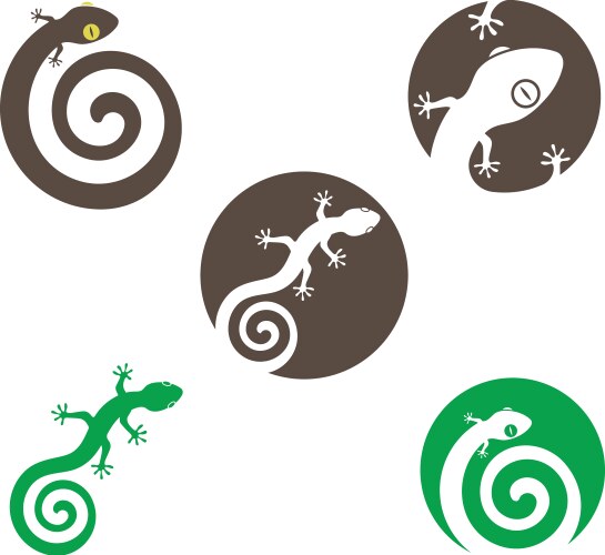 Gecko logo icon Royalty Free Vector Image - VectorStock