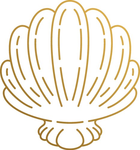 Seashell line art hand drawn Royalty Free Vector Image