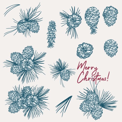 Hand drawn spruce branches and cones Royalty Free Vector