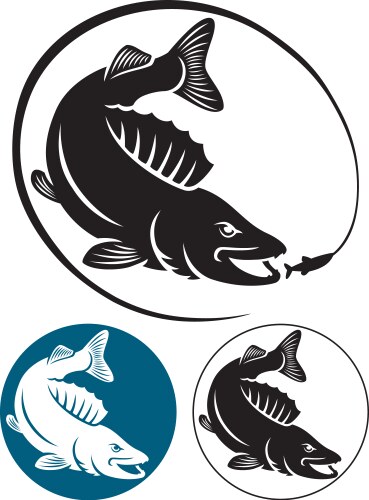 Striped Bass Fish Icon Vector Image