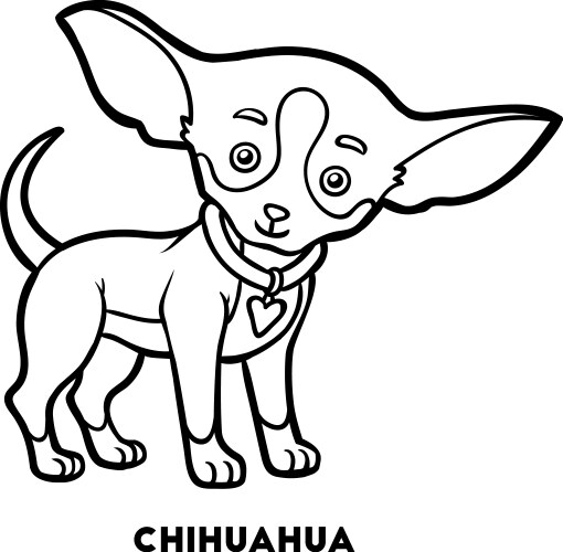 Cute Chihuahua Coloring Page Vector Image
