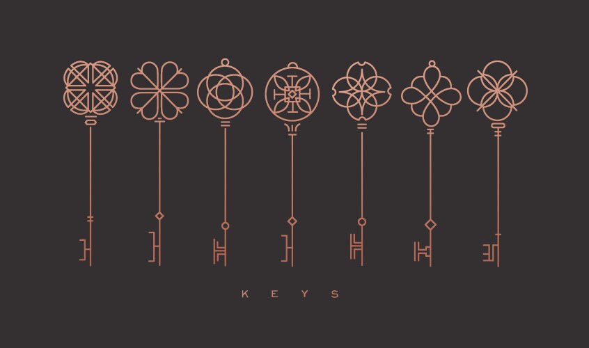 Modern graphic key collection bronze vector image