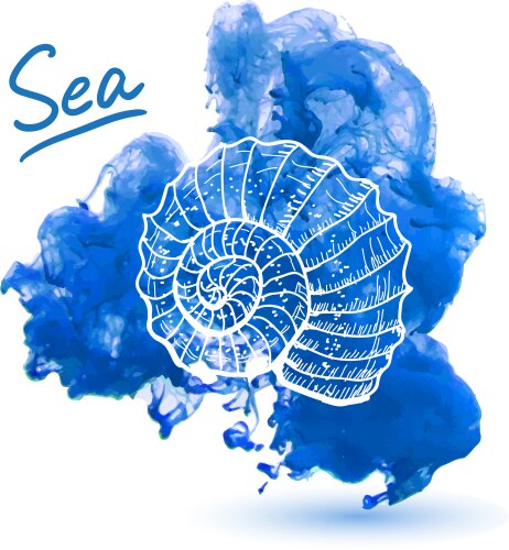 Watercolor Seashell Sketch Vector Image