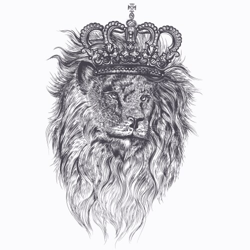 Hand drawn tattoo with lion in crown Vector Image