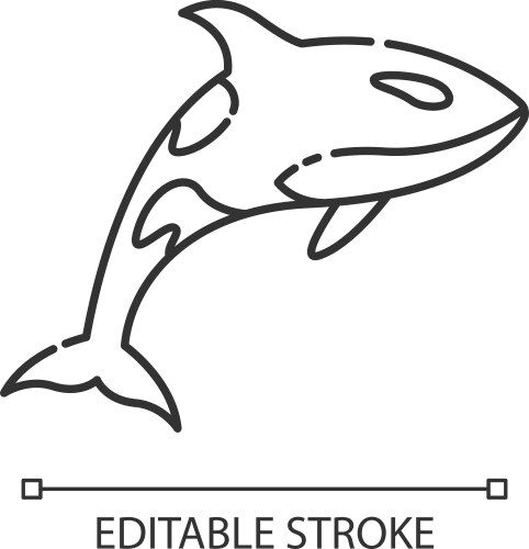 Orca outline Vector Images & Graphics for Commercial Use | VectorStock