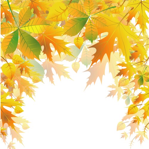 Autumn leaf fall background Royalty Free Vector Image