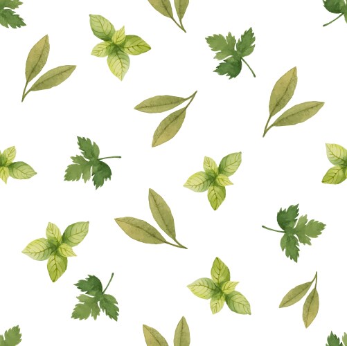 Watercolor Herb Pattern Vector Image