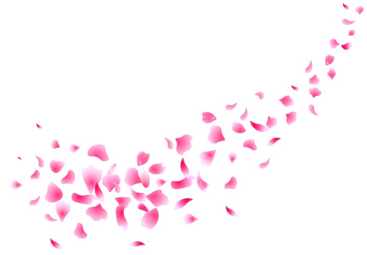 Sakura flying petals flowers design Vector Image