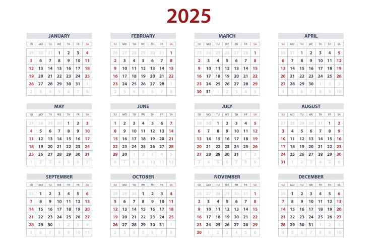 quarter calendar template for 2025 year wall vector image