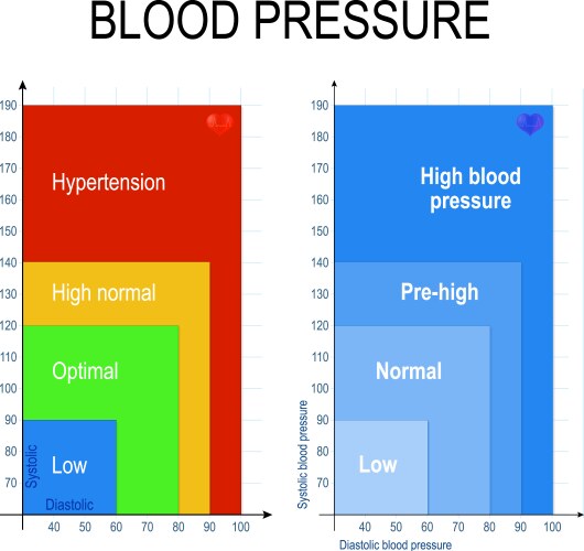 Blood pressure chart vector image