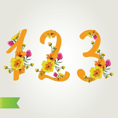 Floral numbers set vector image