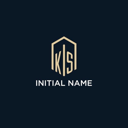 Ks initial monogram logo with hexagonal shape vector image