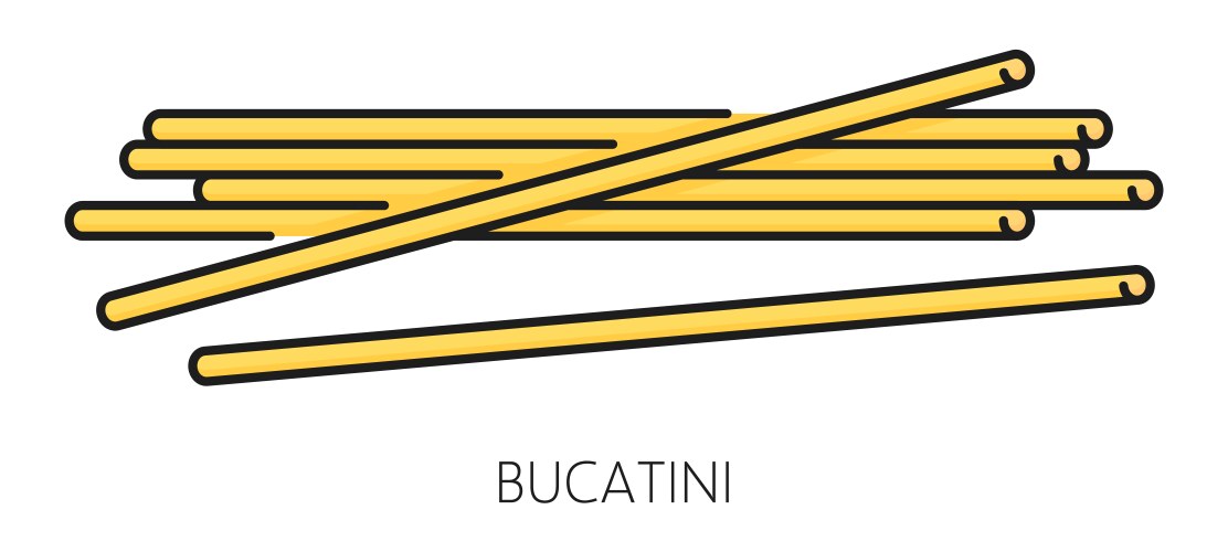 perciatelli thick spaghetti pasta bucatini food vector