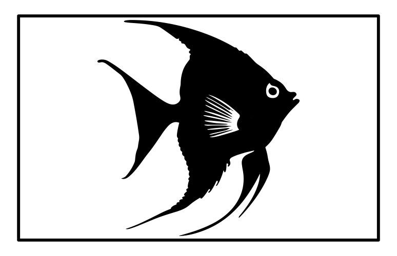 Archer fish isolated on white background Vector Image