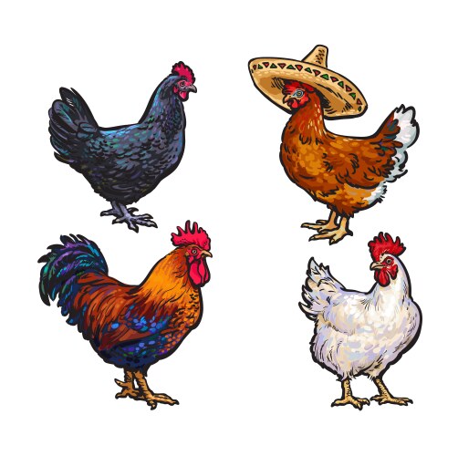 Cartoon Rooster and Chicken Set Vector Image