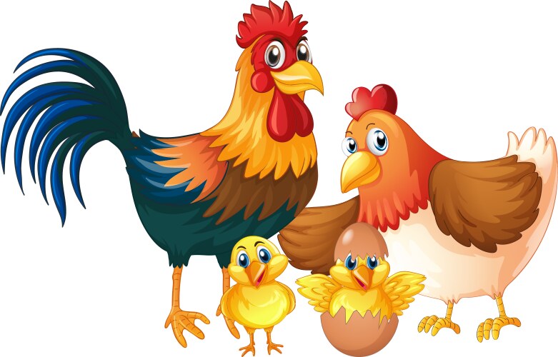 Isolated chicken family on white background vector image